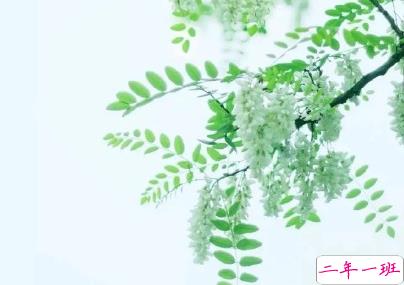 夏至节气说说简短一句话 2020最新夏至心情说说大全1