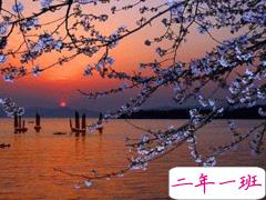 晚安句子简单温暖 晚安心语超暖心