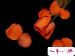 超级棒的朋友圈说说 很火很流行的个性短句