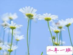 夏天心情说说文艺小短句 所有美好都发生在夏天