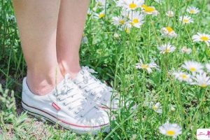 温柔文艺小句子合集 最受欢迎的朋友圈温柔文案