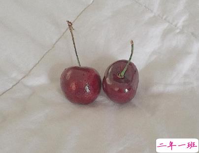 文艺气质短句2020最新 阳光文艺的女生说说2