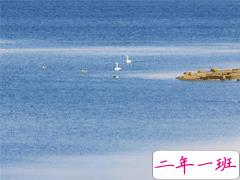 夏日朋友圈文案八字说说 温柔美好的八字小短句