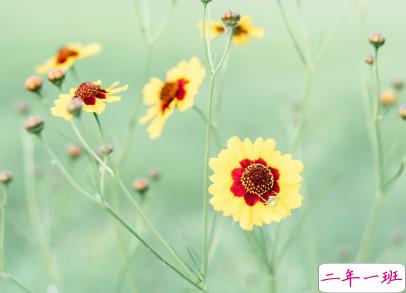 微信心情说说气质句子 心情美美哒句子简单1