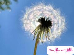 朋友圈心情说说简单舒服 顺其自然随遇而安