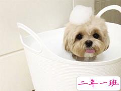 520情人节单身文案 2020年520单身狗微信心情短语