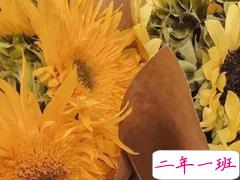 第一次过母亲节怎么发朋友圈 自己庆祝母亲节的心情说说2020