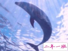 有仙气的干净气质句子 眉眼温柔日子自然也可爱