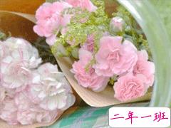 文艺到爆炸的小句子 qq空间文艺说说大全