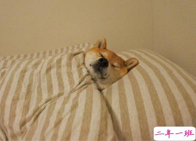 用一句话形容这次寒假之长 2020寒假太长的心情说说1