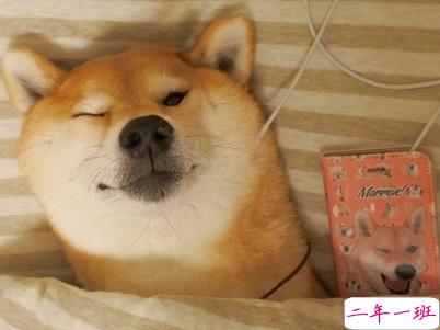 用一句话形容这次寒假之长 2020寒假太长的心情说说2