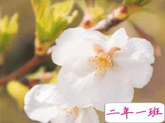 适合发朋友圈的歌词说说 抖音歌词说说最动人合集