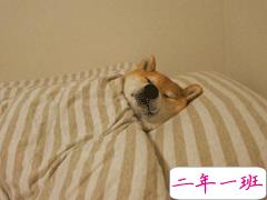 用一句话形容这次寒假之长 2020寒假太长的心情说说