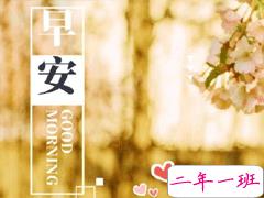 一句话积极阳光早安心语 每日第一条早安说说