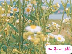 适合夏天的文案句子 2020夏季来了小清新句子