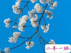 早安正能量一句话 发朋友圈的早安说说