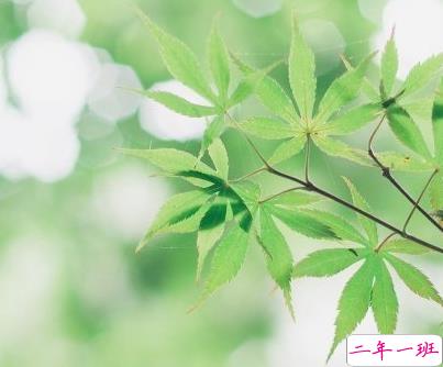 春天晒风景照片的文案 春天朋友圈郊游说说文艺1