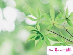 春天晒风景照片的文案 春天朋友圈郊游说说文艺