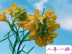 2020三月三祝福语大全 农历三月三微信祝福说说