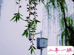 春天出去踏青的说说 适合郊游踏青的说说