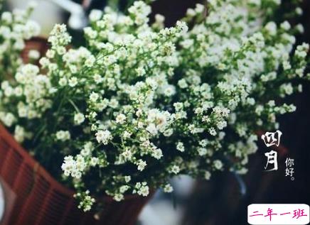 三月再见四月你好文案 2020四月你好心情短句1