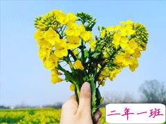 春天来了文案大全 春天微信说说温柔短句2020