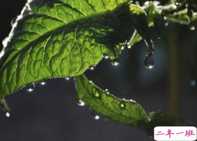 2020春天来了的说说 期待春天的唯美心情短语1