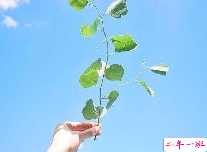 干净治愈的短句 适合女生发朋友圈的干净说说1