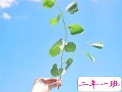 干净治愈的短句 适合女生发朋友圈的干净说说