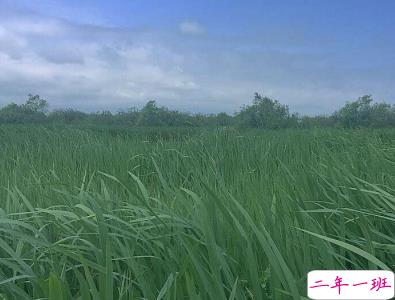 2020迎接三月的优美句子 三月你好简单心情说说1