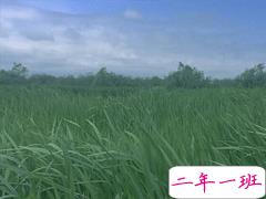 2020迎接三月的优美句子 三月你好简单心情说说