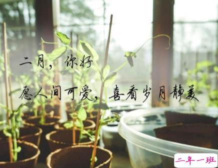 你好二月朋友圈唯美句子2020 1月再见2月你好文案1