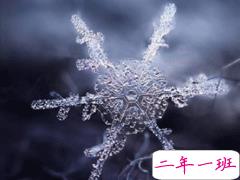 抖音下雪超级火的句子 抖音最美下雪文案