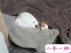 感冒发烧的心情说说 一个人发烧不舒服的说说发朋友圈