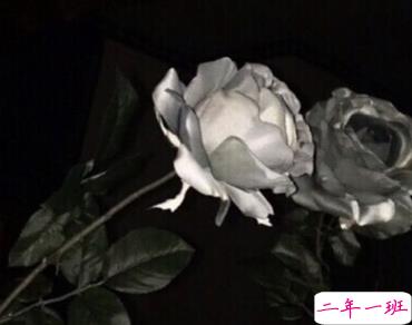 心累心情不好的句子 累感不爱的伤感说说2