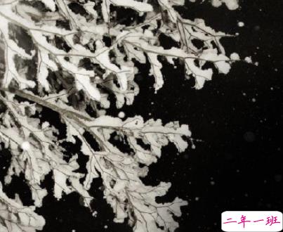 2020下雪天气朋友圈说说 雪天说说文艺短句子2