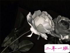 心累心情不好的句子 累感不爱的伤感说说