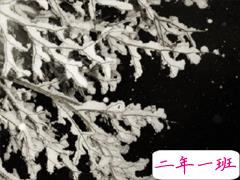 2020下雪天气朋友圈说说 雪天说说文艺短句子