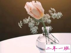 周末早安问候语合集 周末愉快一句话说说