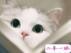 可爱的朋友圈文案大全 可爱但不矫情的说说