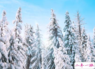 适合下雪发朋友圈的文案 下雪天一句话说说大全1