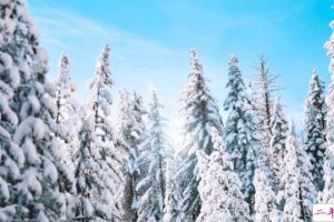 适合下雪发朋友圈的文案 下雪天一句话说说大全