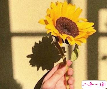 抖音最火早安心语 温暖又励志的早安说说1