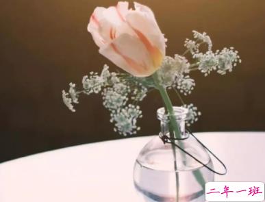 抖音最火早安心语 温暖又励志的早安说说2