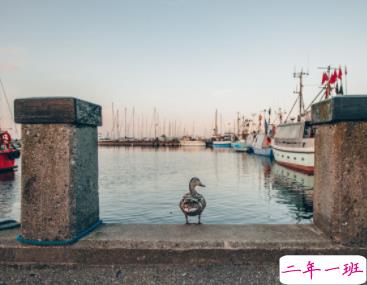 2020送给自己的句子 2020第一条朋友圈说说致自己1