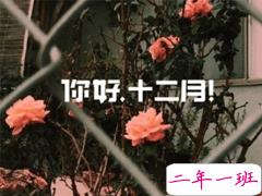 2019十二月你好加油说说 12月你好朋友圈文案