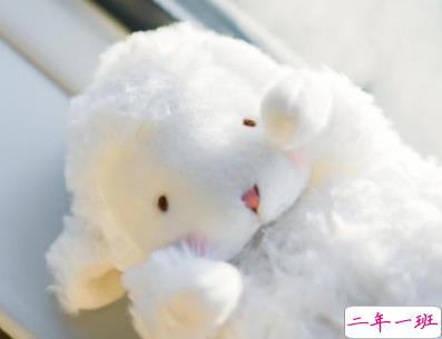 2019十二月你好温暖治愈系说说 微信治愈系说说一句话2