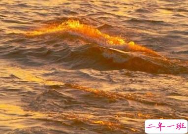 早安暖心话心情短语 开启元气满满的一天1