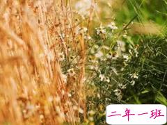 适合各种情绪的说说短句子 一句简单的心情说说