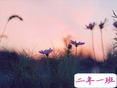 心情不好的说说伤感无奈 后来的我们没有走到一起